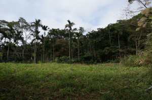 M區整理中未看放1